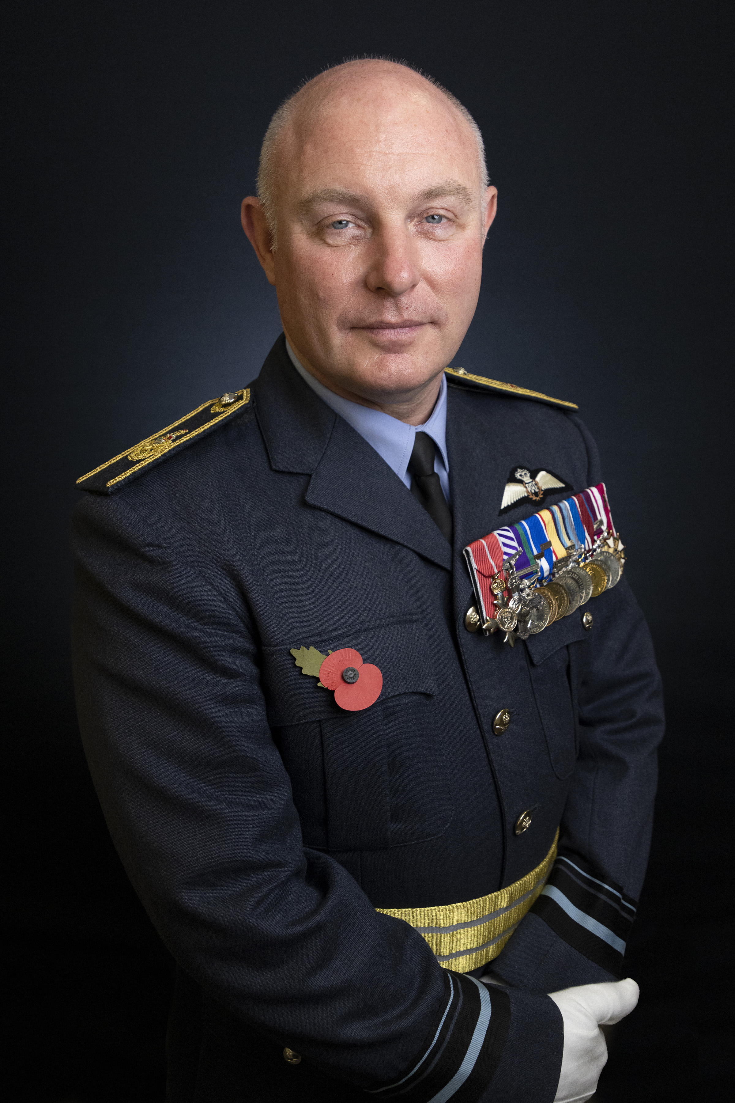 Portrait of Air Vice-Marshal Smyth wearing poppy and medal panel.