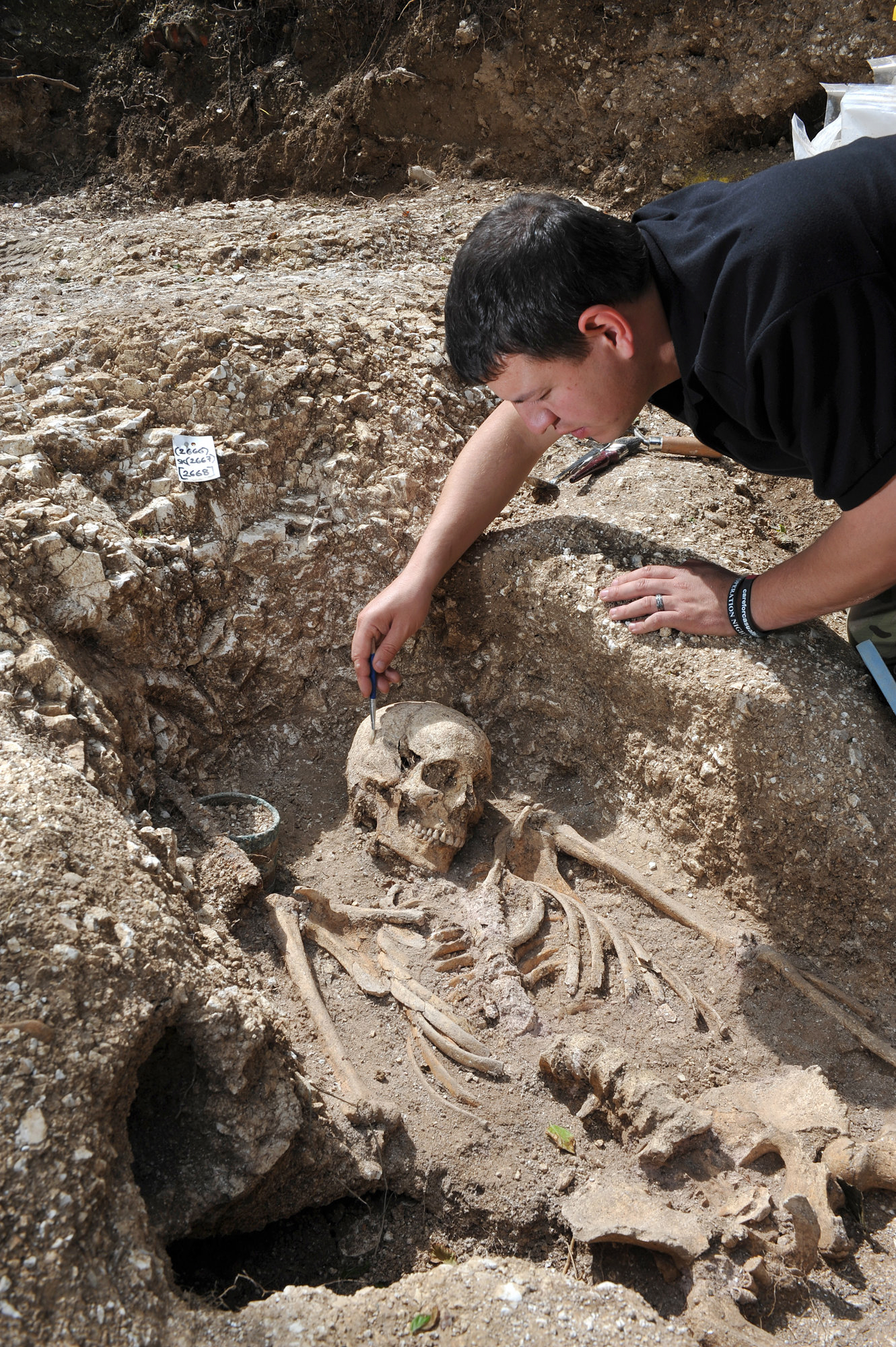 Personnel excavating an archeological dig site, unearthing a skeleton.