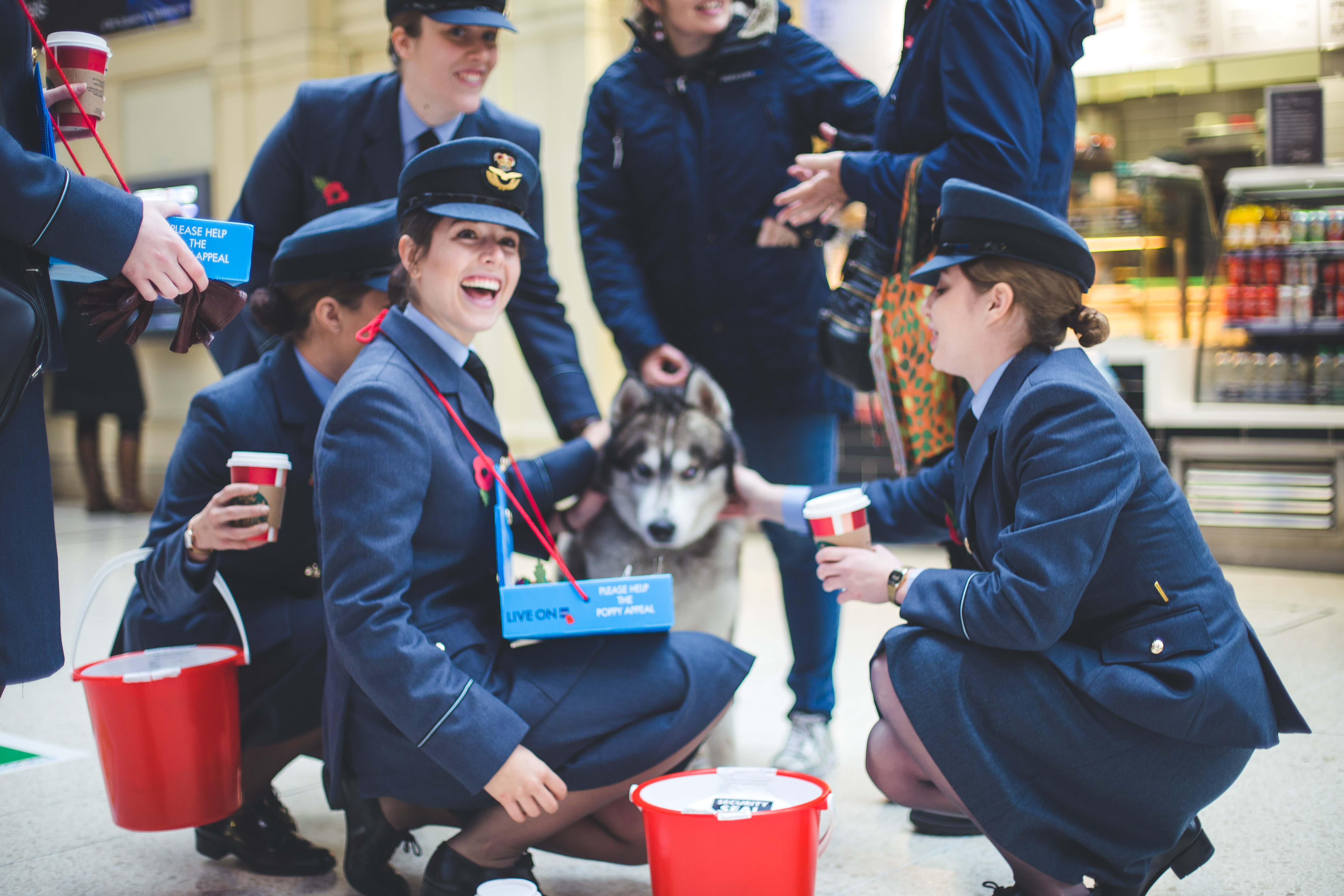 Personnel great public and dog with bucket collection in shopping centre.