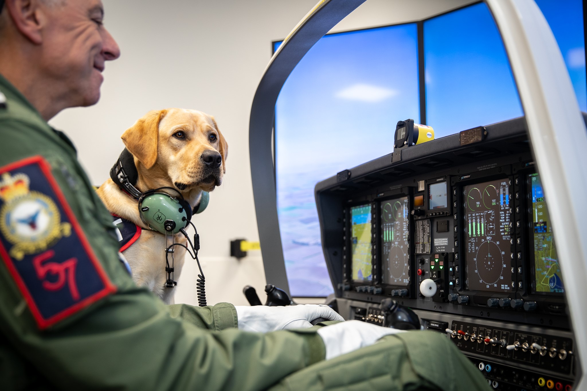 Image shows RAF pilot and Assistant Dog sitting in a carrier aircraft cockpit.