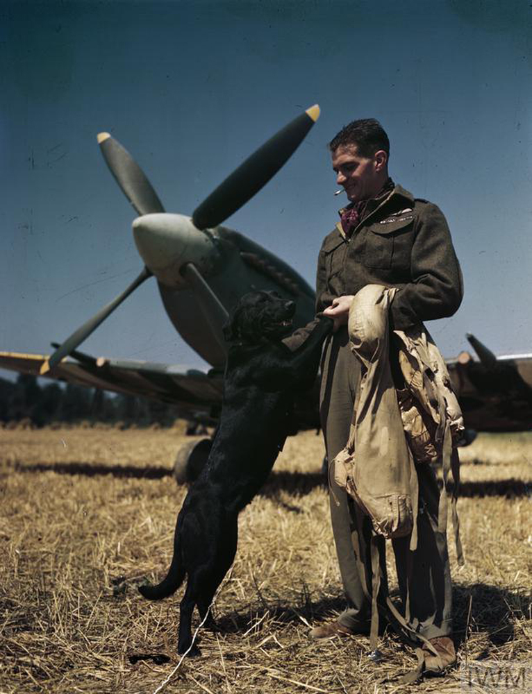 An image of Johnnie Johnson during WWII (courtesy Imperial War Museum)