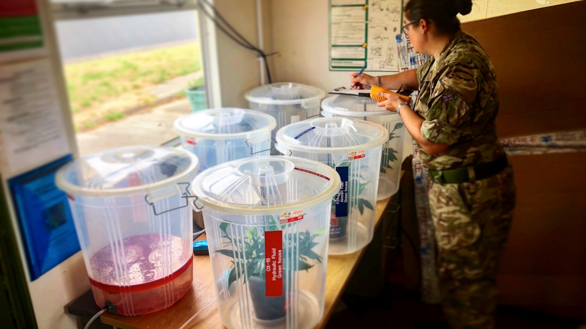 Image shows aviators performing experiment with plastic buckets and plants.
