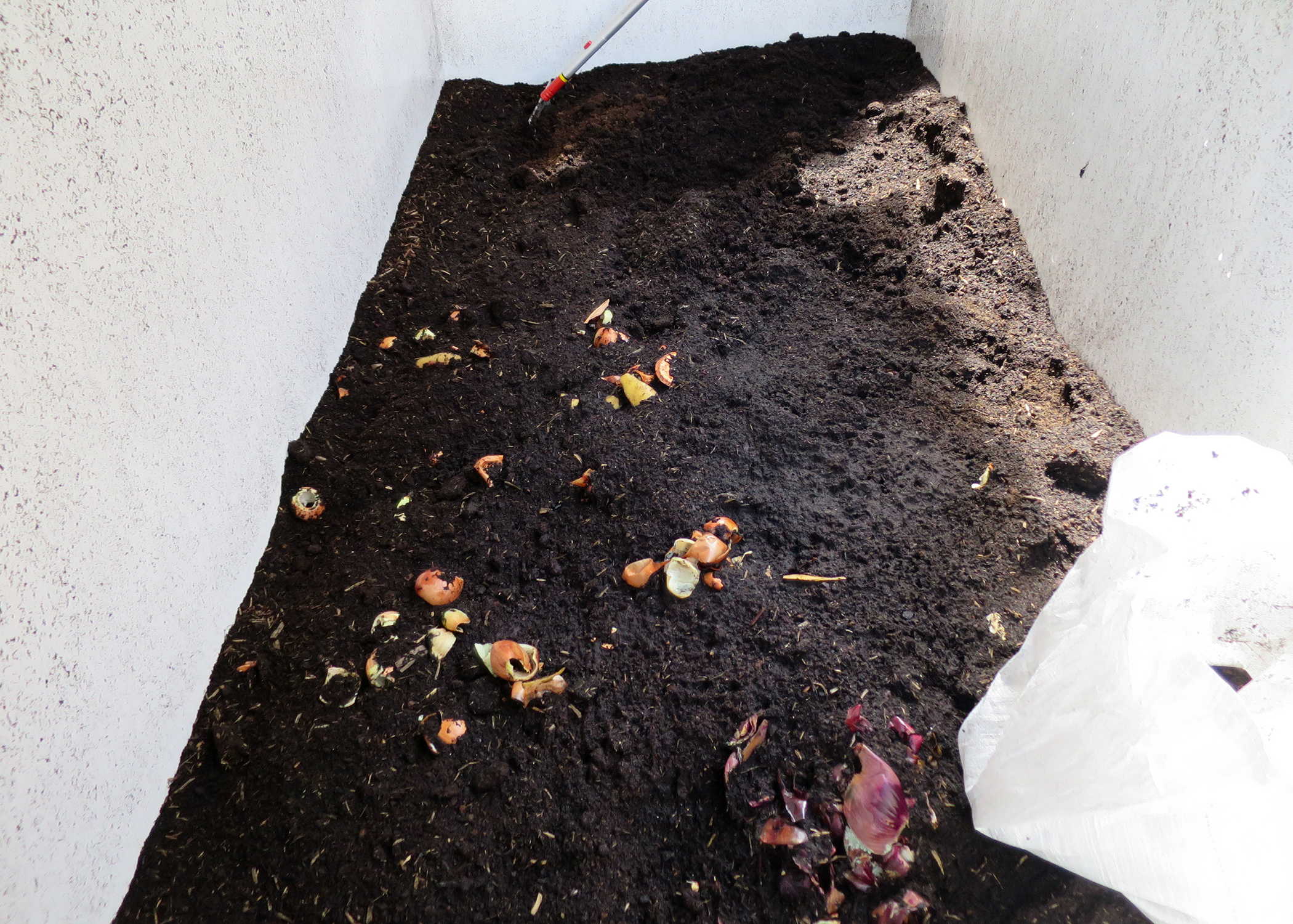 Food waste is emptied into the wormery