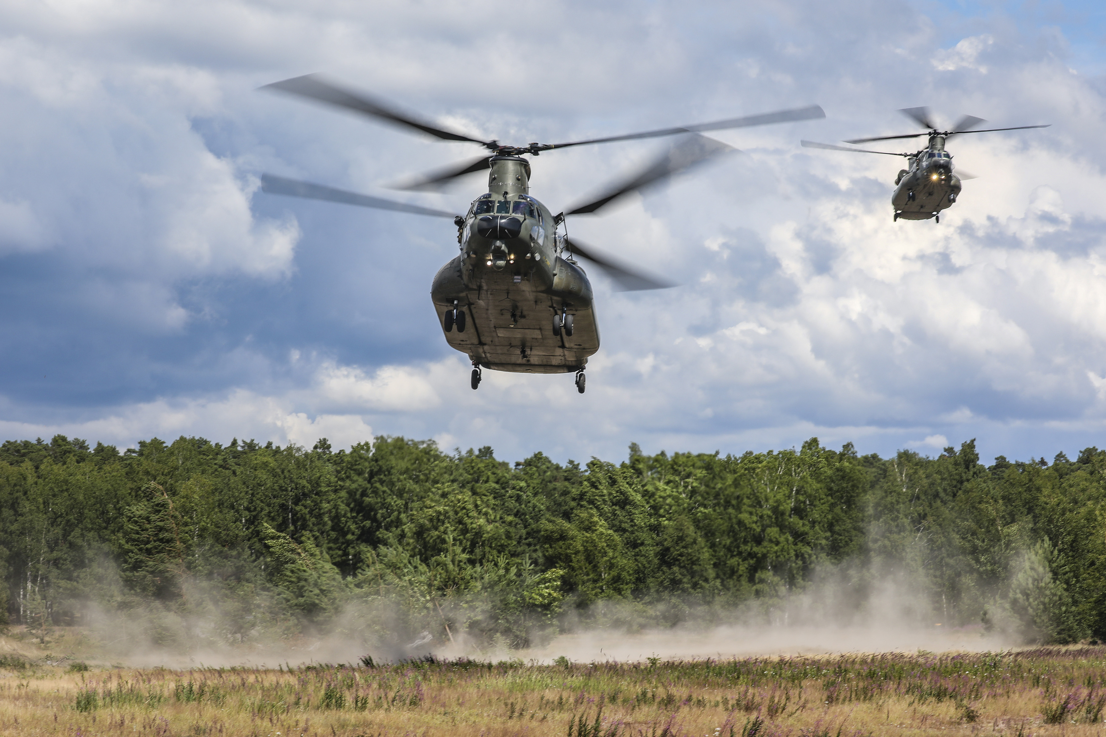 Image shows RAF Chinooks in flight over grasslands.