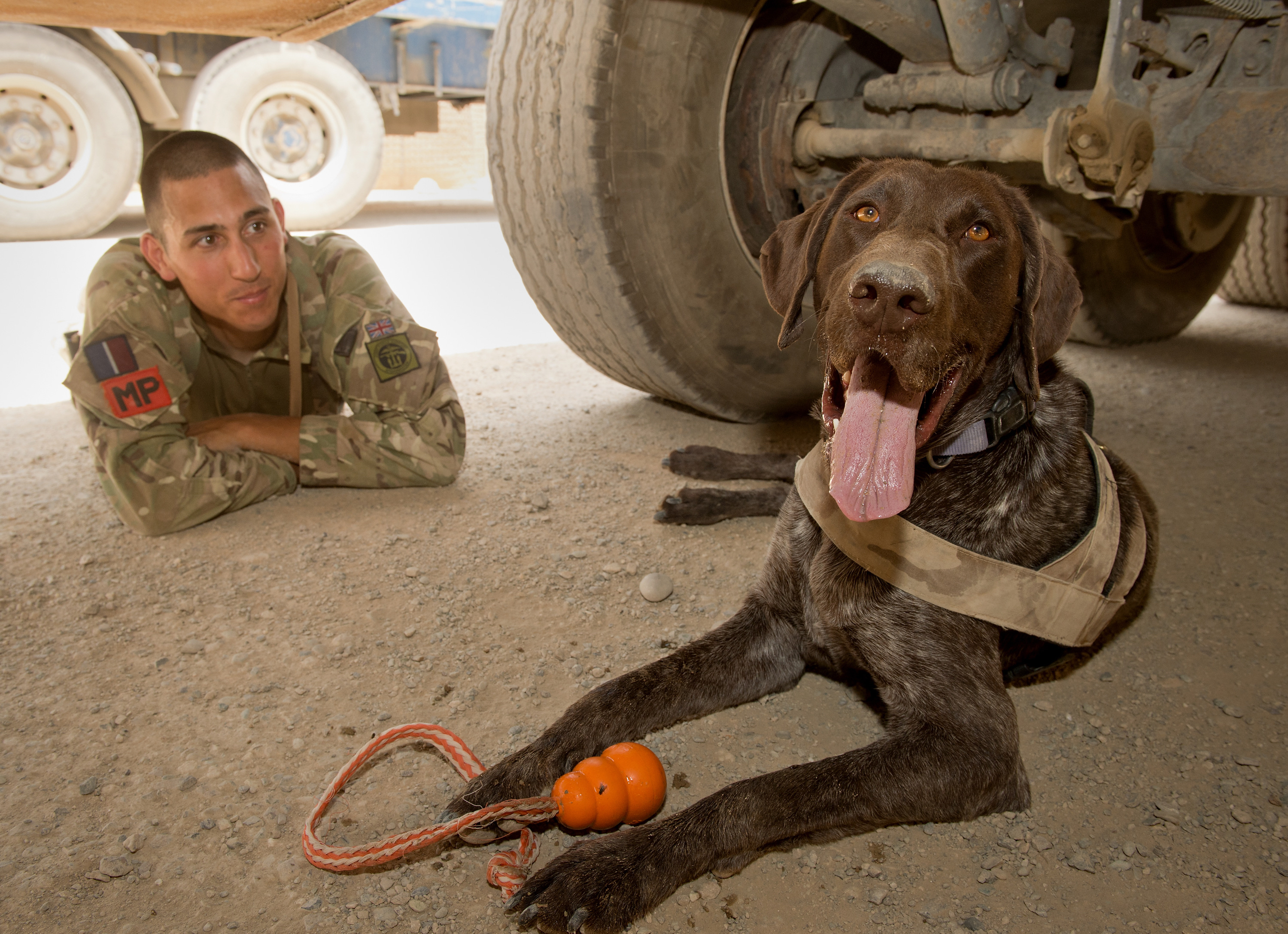 RAF Police and dog under vehicle.