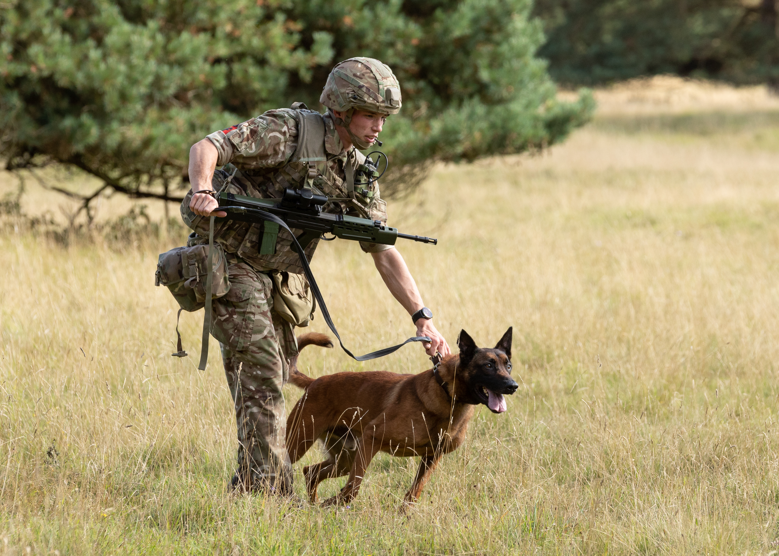 Dog and Handler on patrol.