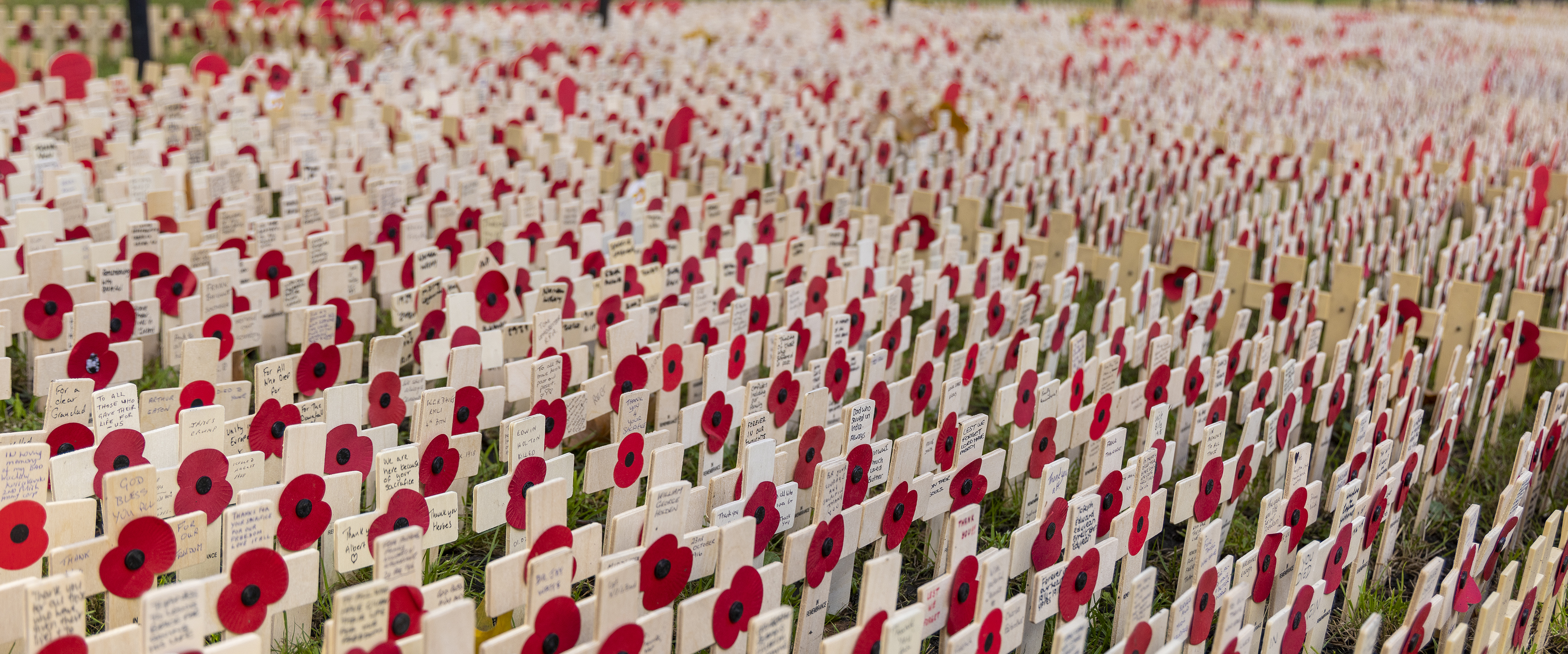 Hundreds of Poppy's and messages on Remembrance crosses in the ground. 