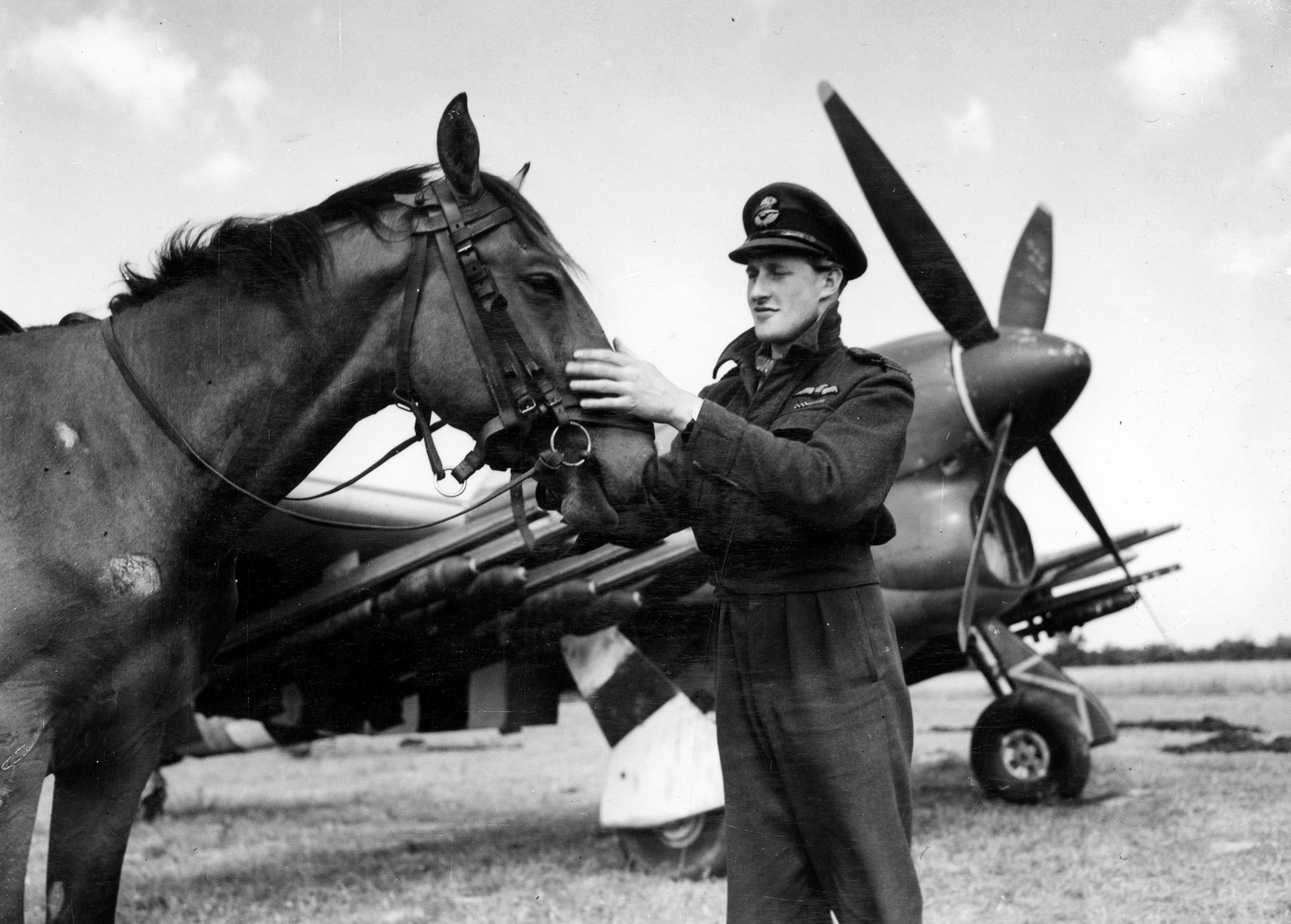 Flight Lieutenant stands by a Typhoon while holding a horses nose. 