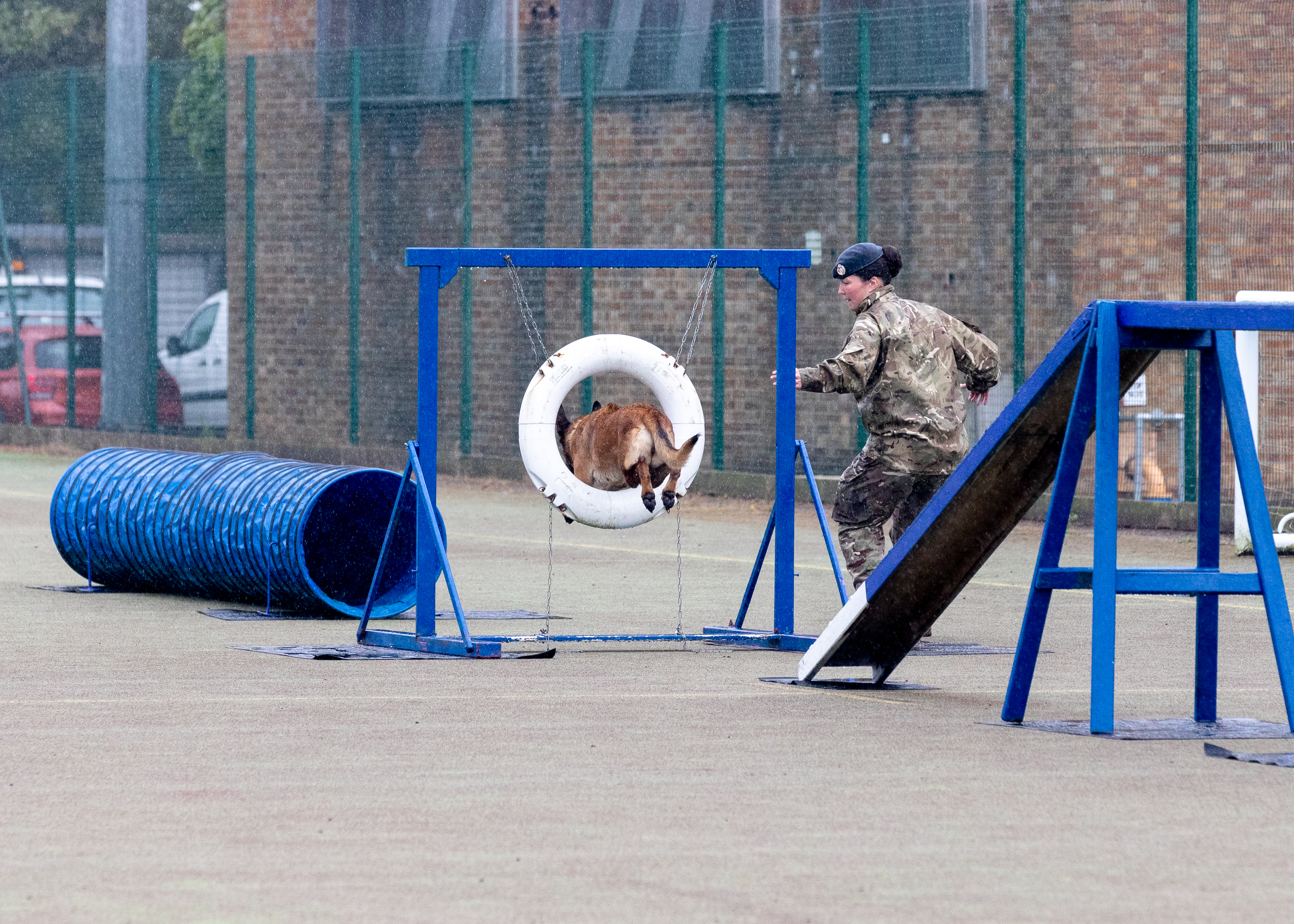 Dog and personnel complete agility course; dog jumps through hoop.