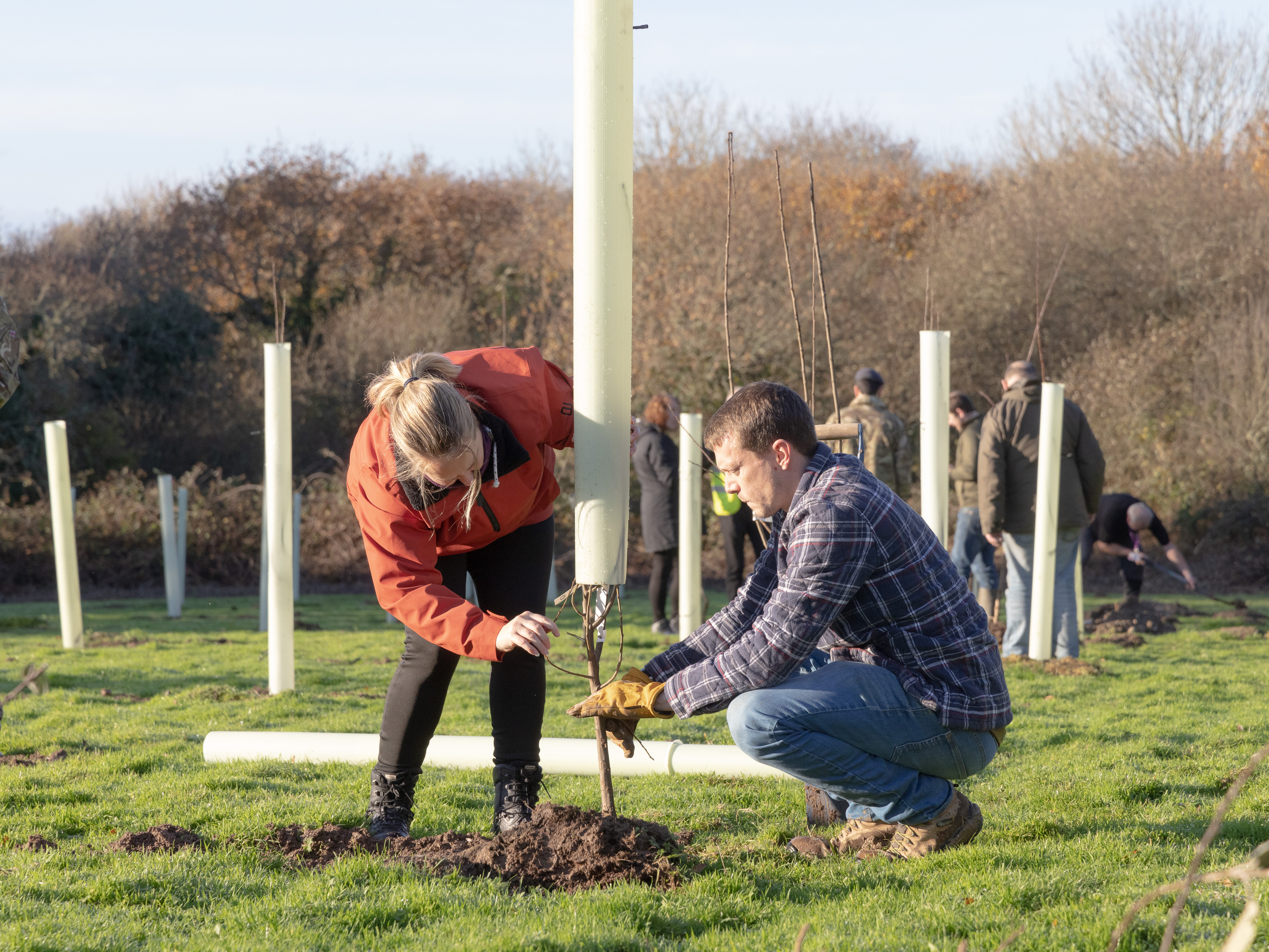 Image shows community and RAF aviators planting young trees.