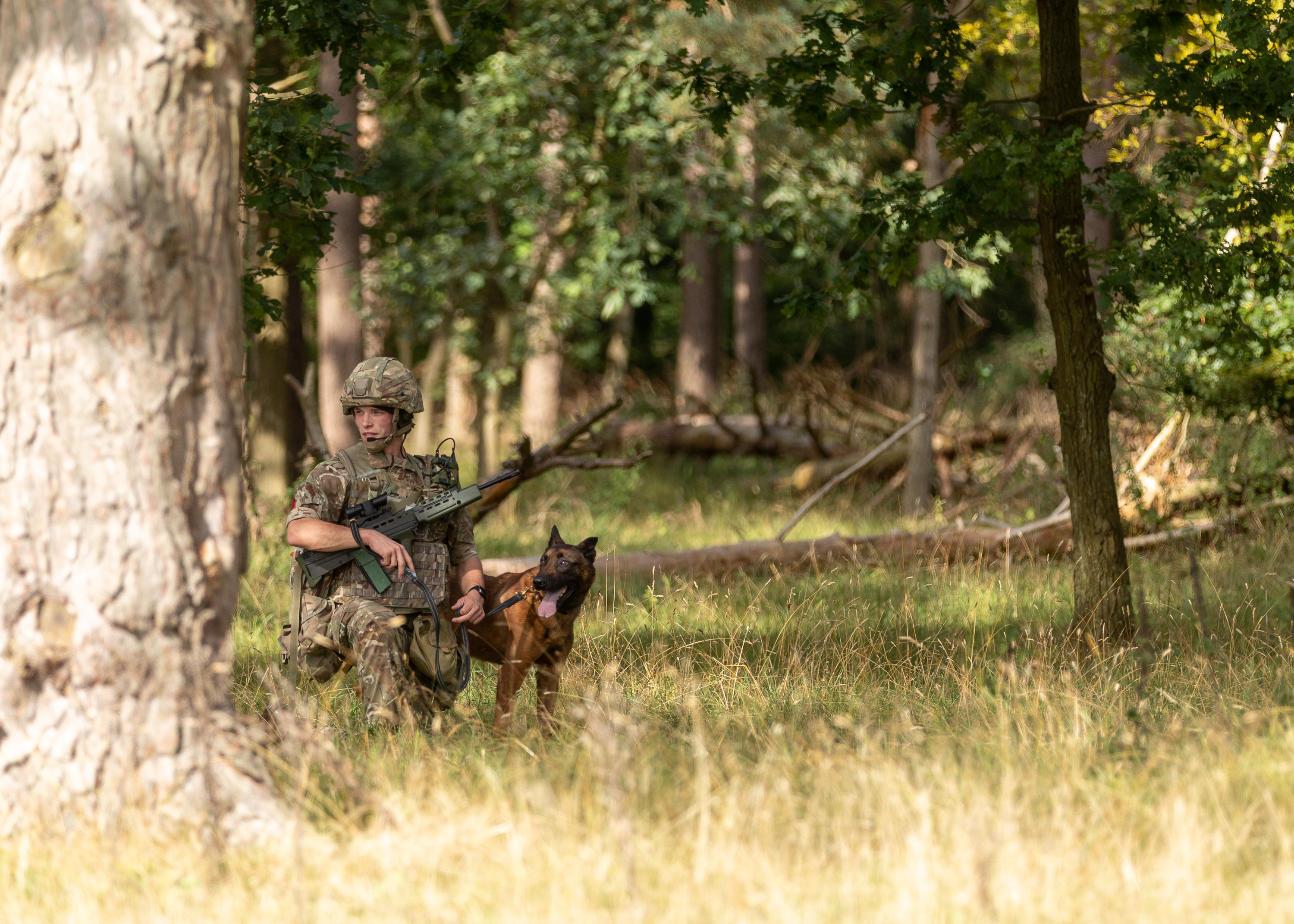 Dog and Handler on patrol.