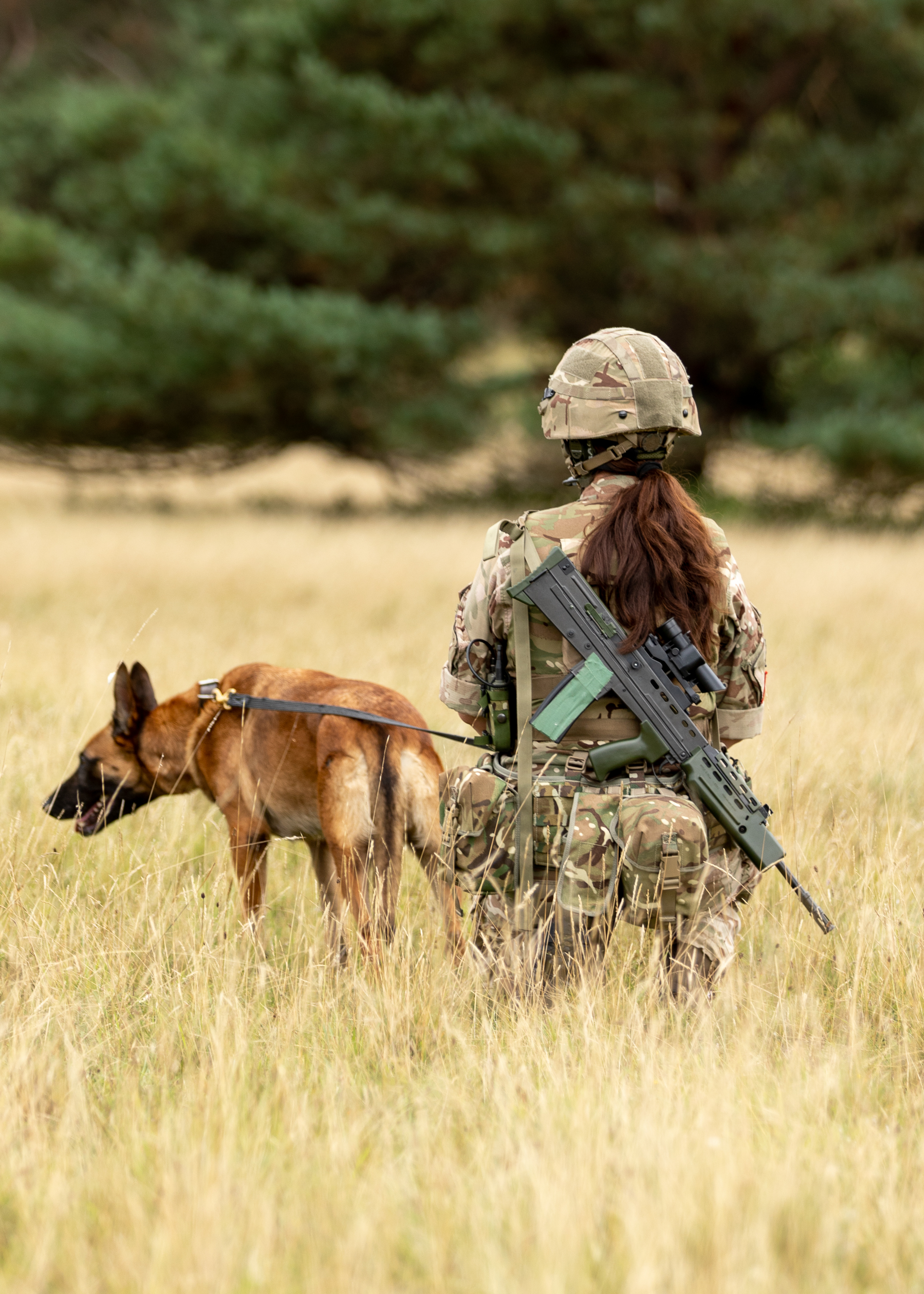 Dog and Handler on patrol.