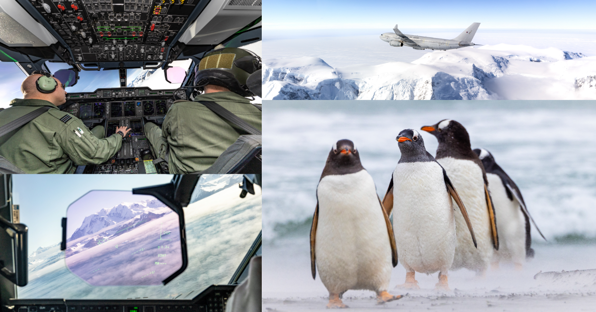 "Falkland Islands Tour". A portfolio of photographs taken of an RAF Voyager flight over the Falkland Islands, featuring penguins and snowy mountains.