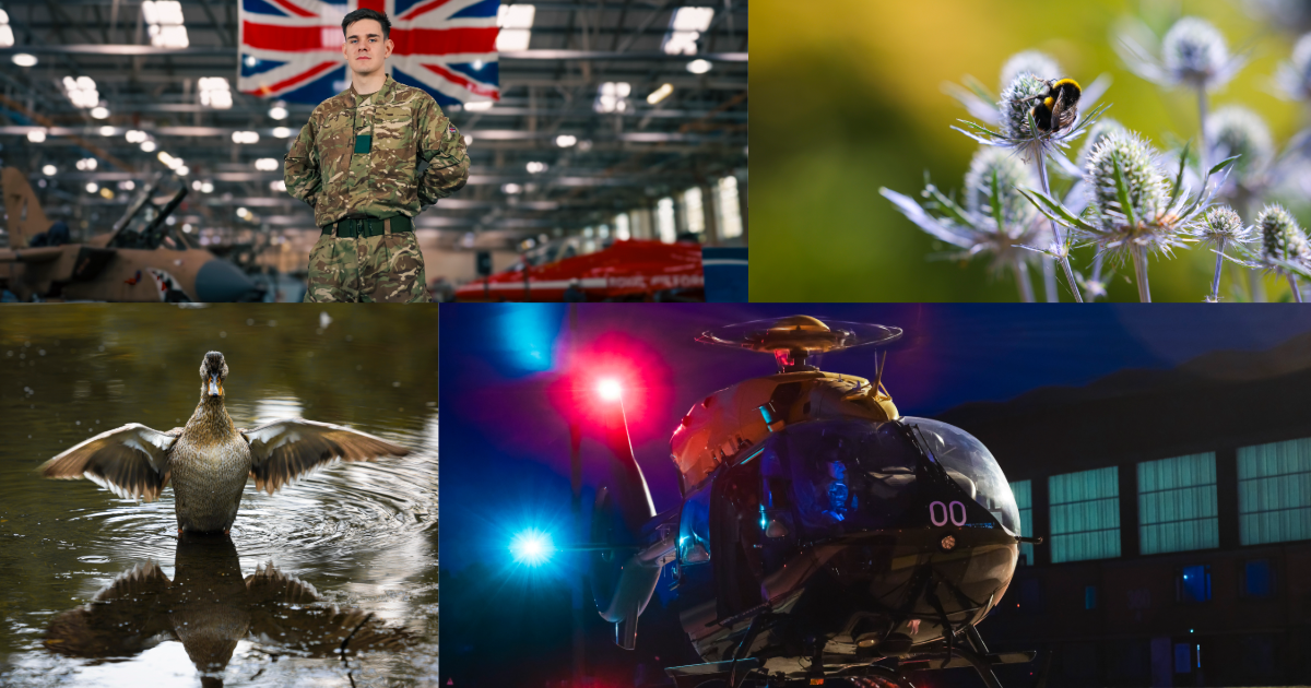 A portfolio of photographs by Air Specialist 2 Katie of RAF Cosford. Images focus on wildlife, such as a duck on water and a bee on a flower as well as shots of an RAF helicopter and a serviceman stood in an aircraft hangar.