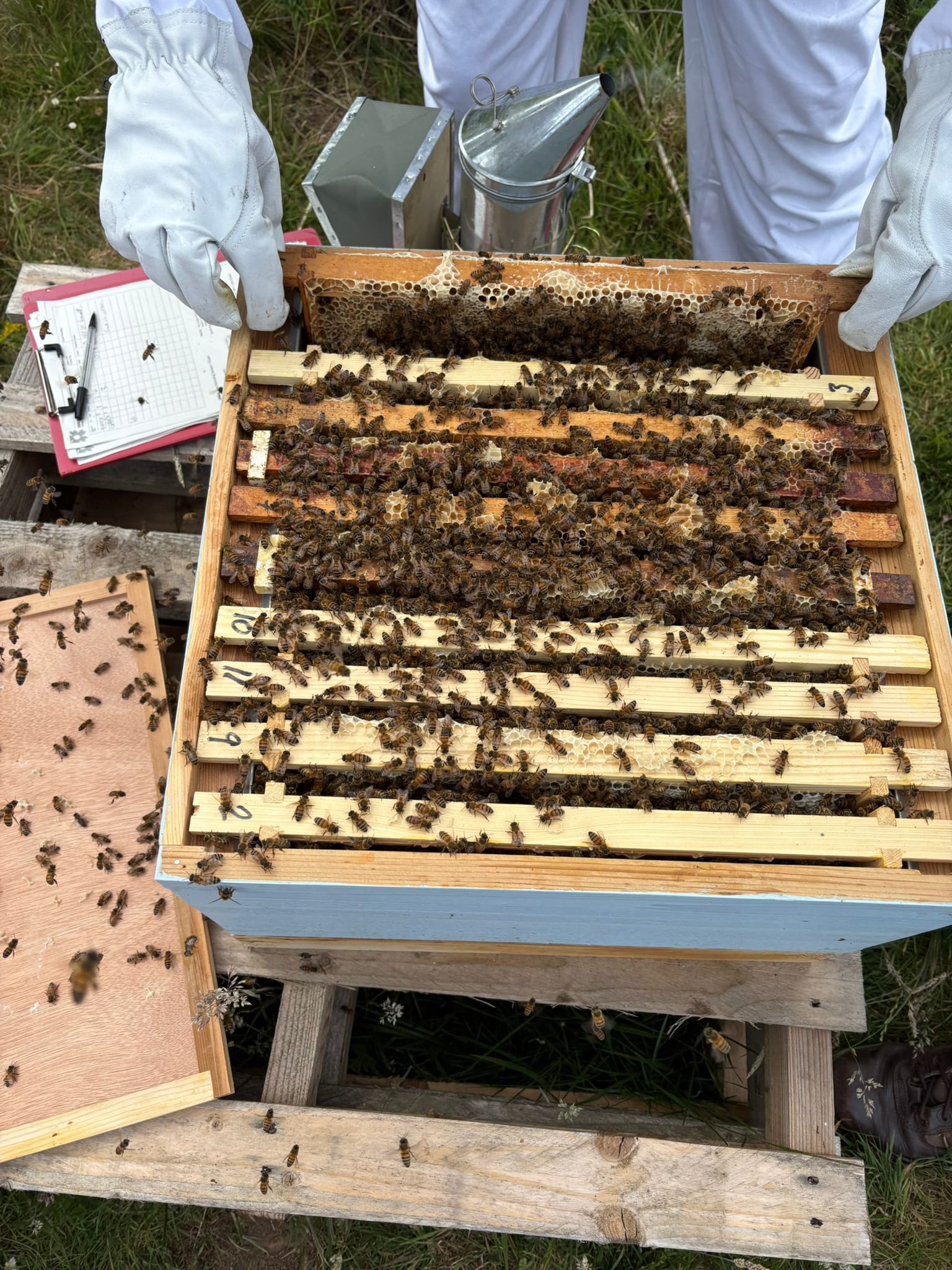 There is a Real Buzz at RAF Boulmer