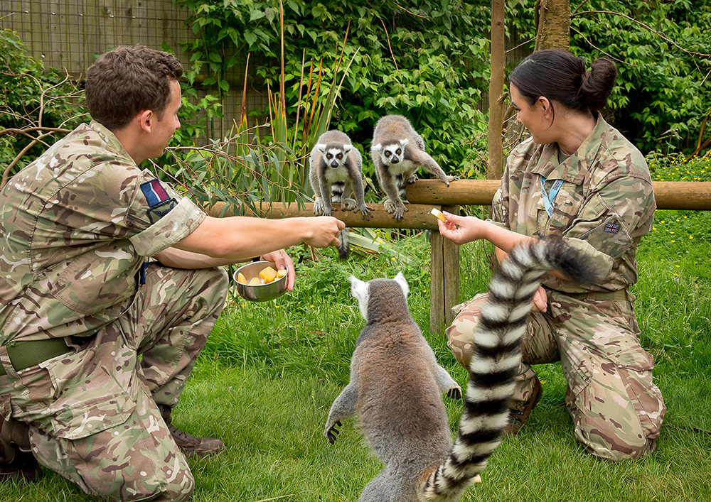 Personnel got to meet and feed some of the animals at the park. Credit: MOD Crown Copyright