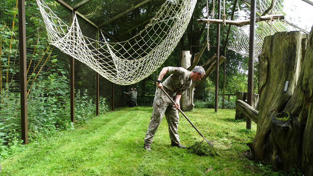 Teams spent the day tidying up the colobus enclosure. Credit: Cotswold Wildlife Park