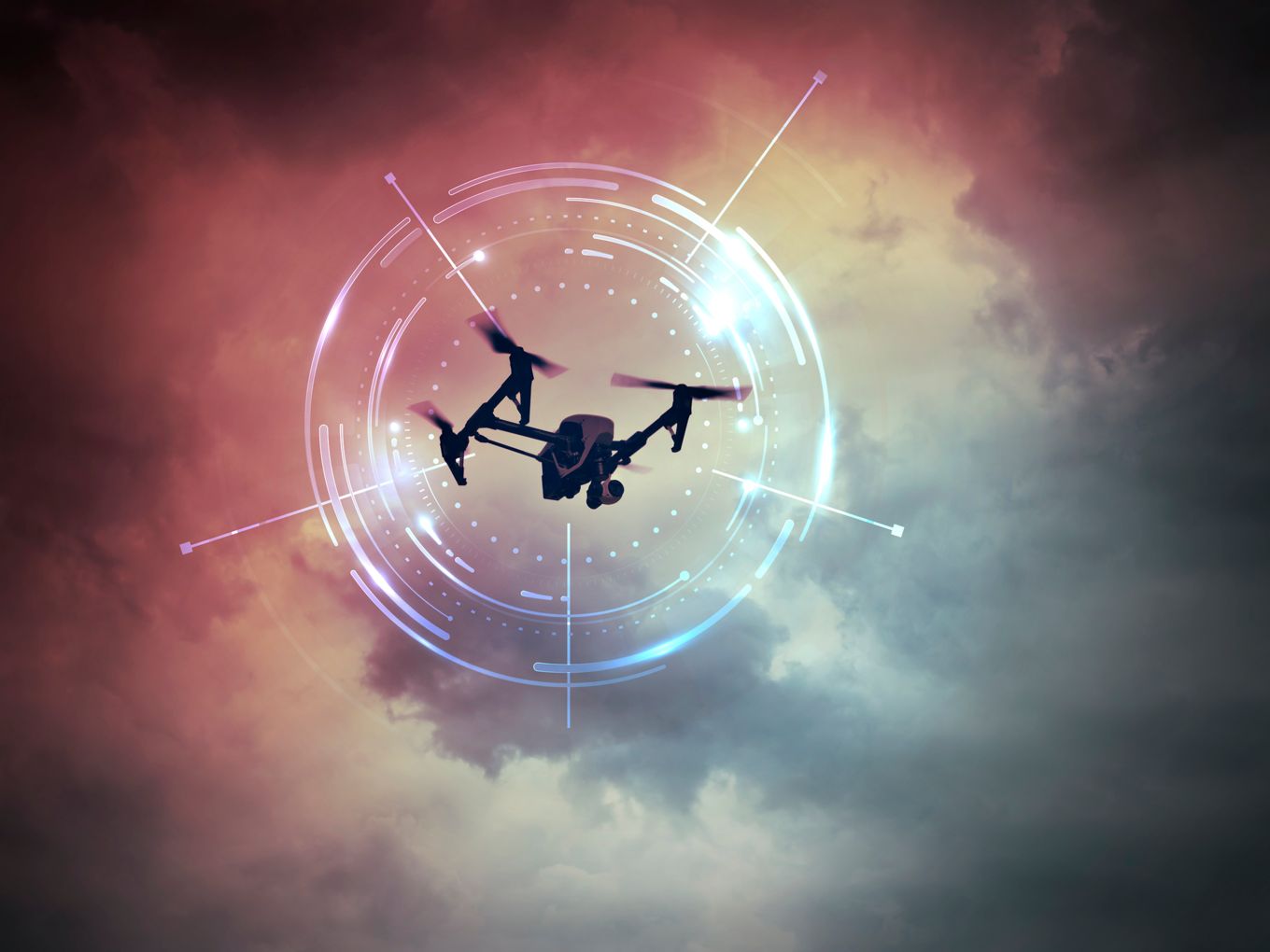 counter-drone-programme