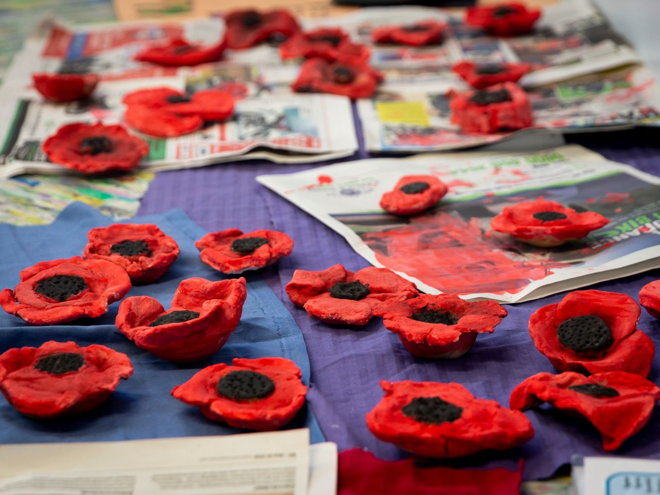 Poppies made by the pupils at Newborough Primary Academy