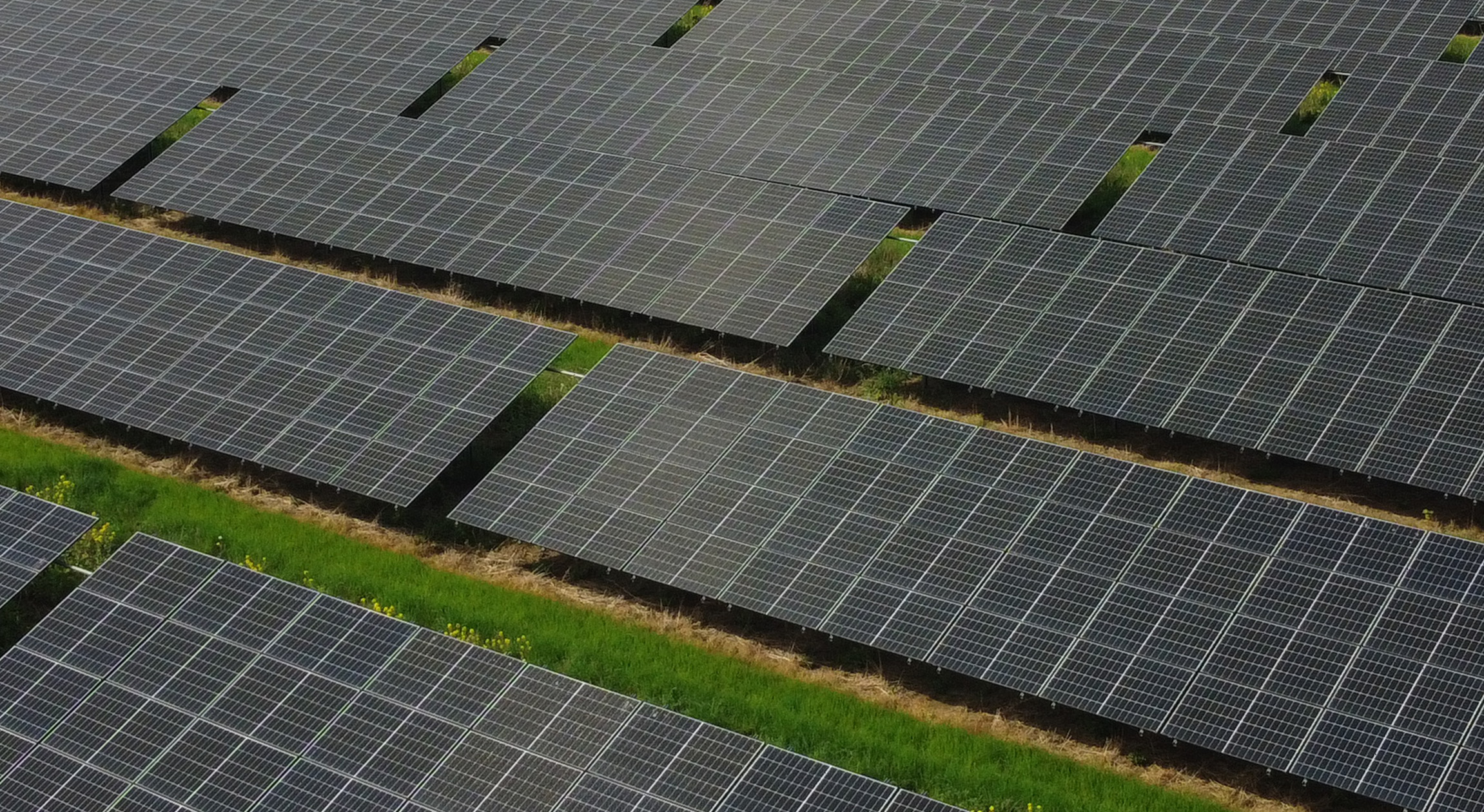 GeoPura solar panels in a field.