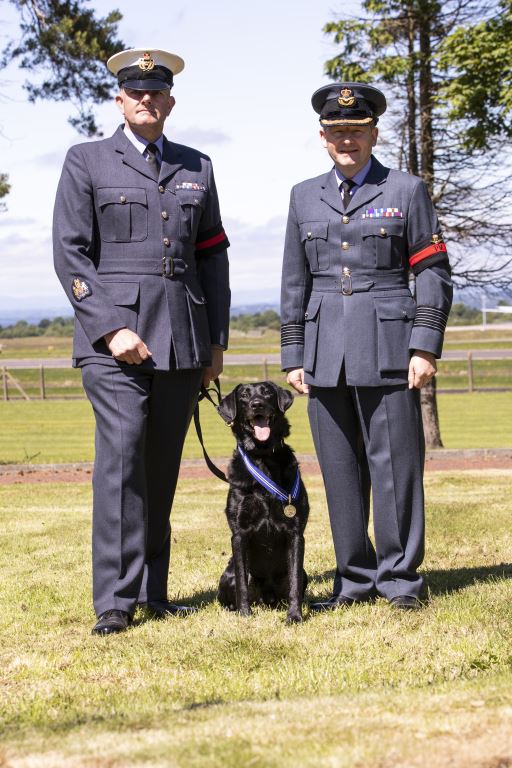 Labrador, AJ with two personnel.