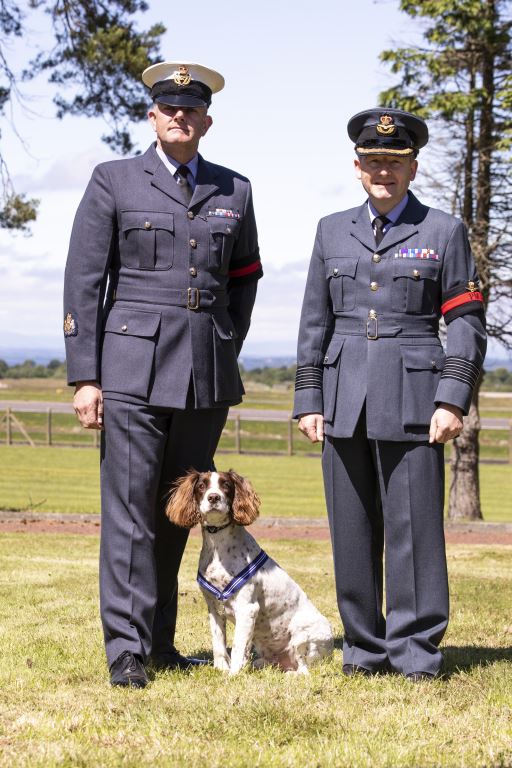 English Spaniel, Alfie with two personnel.