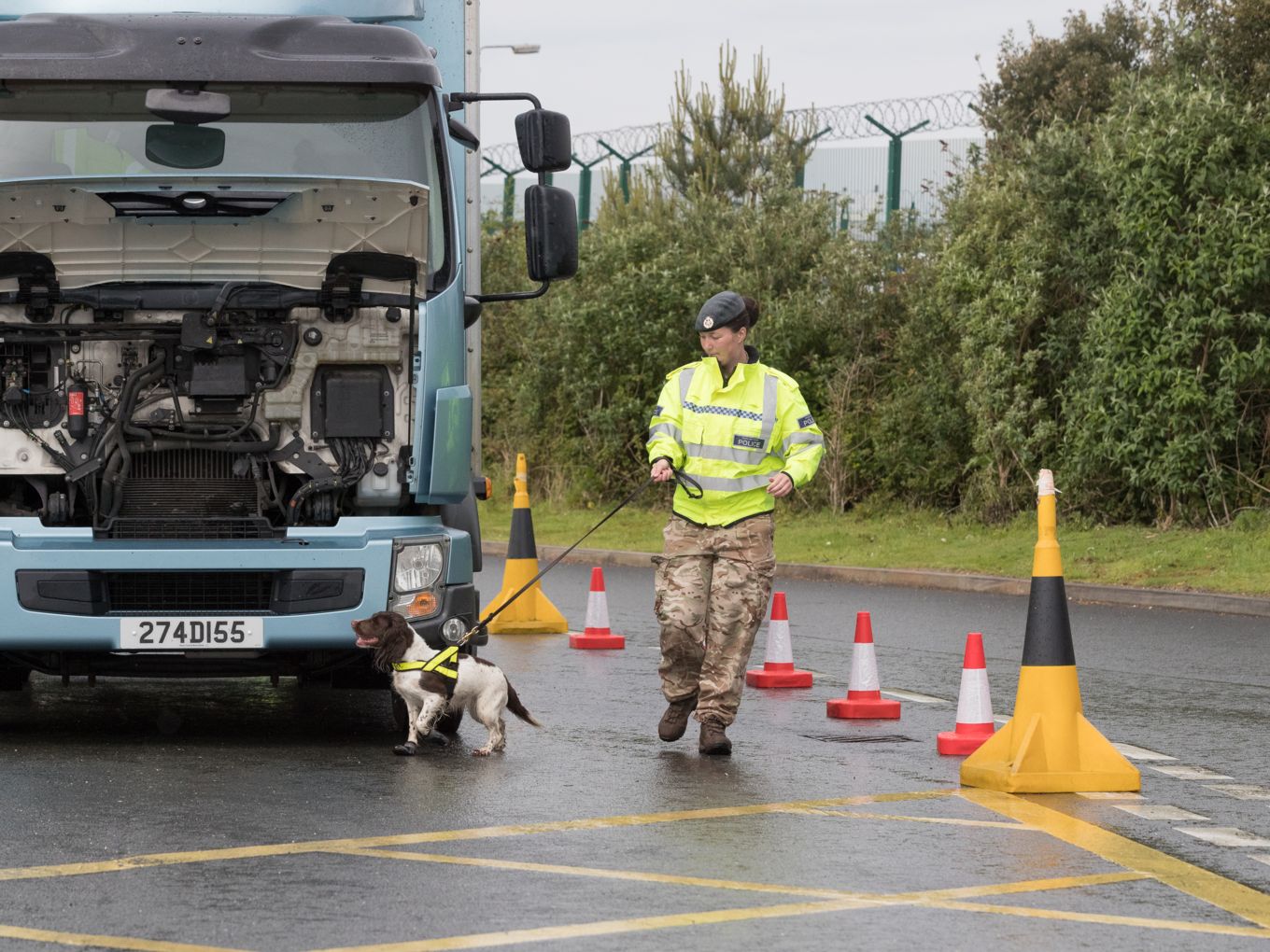 RAFP personnel with her explosives search dog in-front of a lorry.