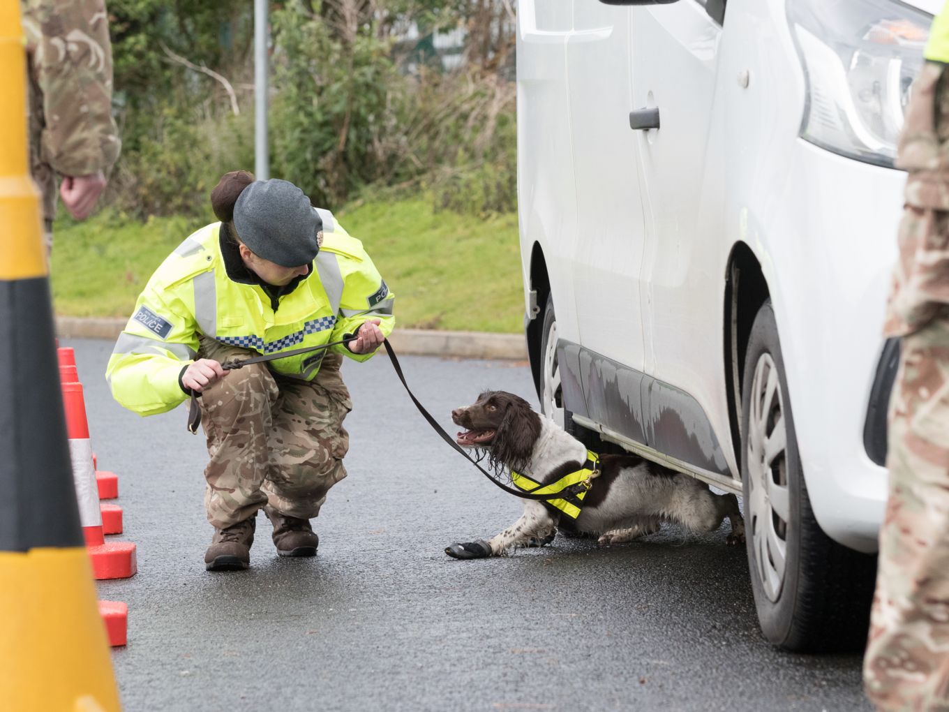 RAFP personnel with her explosives search dog coming out from under a vehicle.