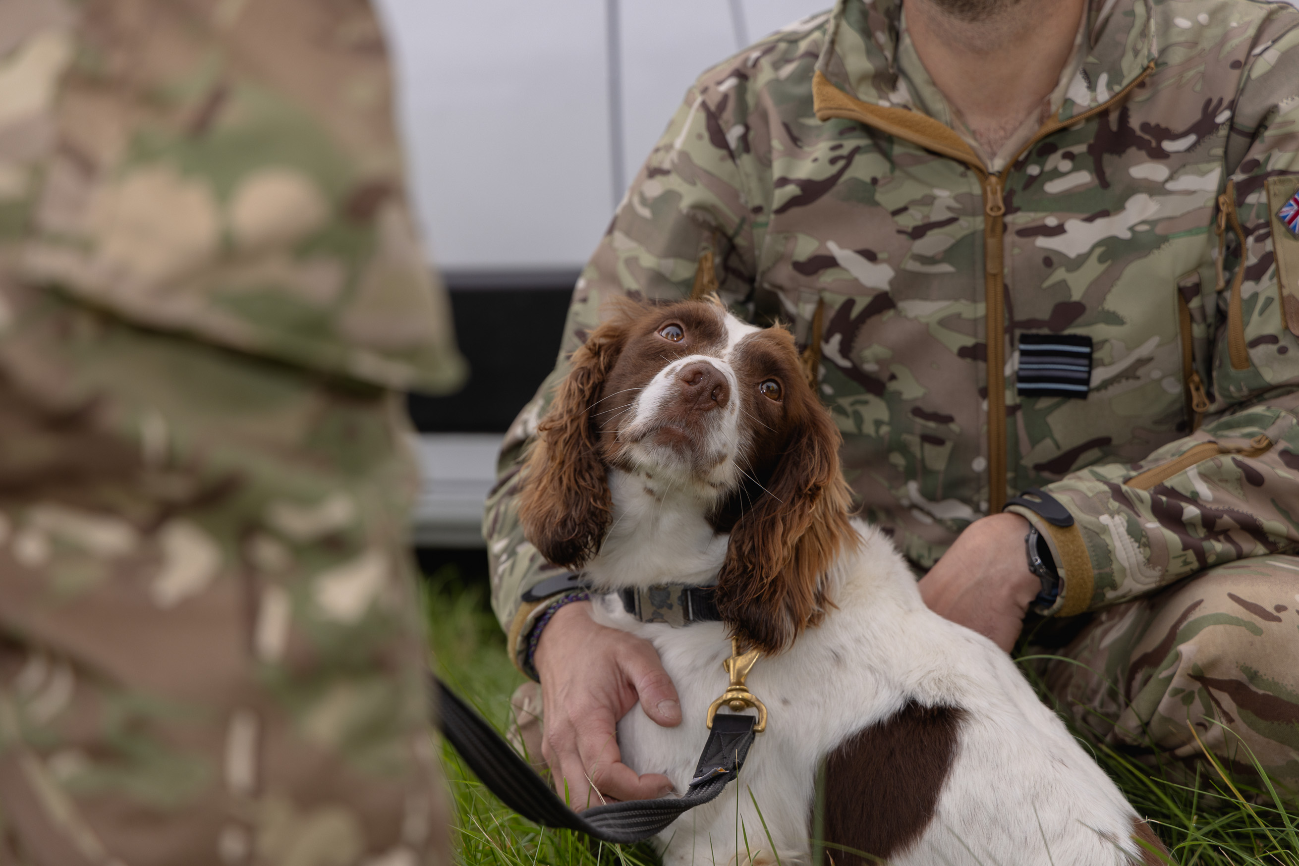 raf brize norton showcases capability | Royal Air Force