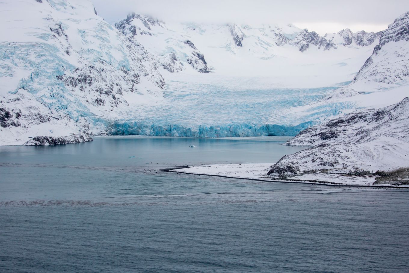 Operation COLDSTARE - South Georgia