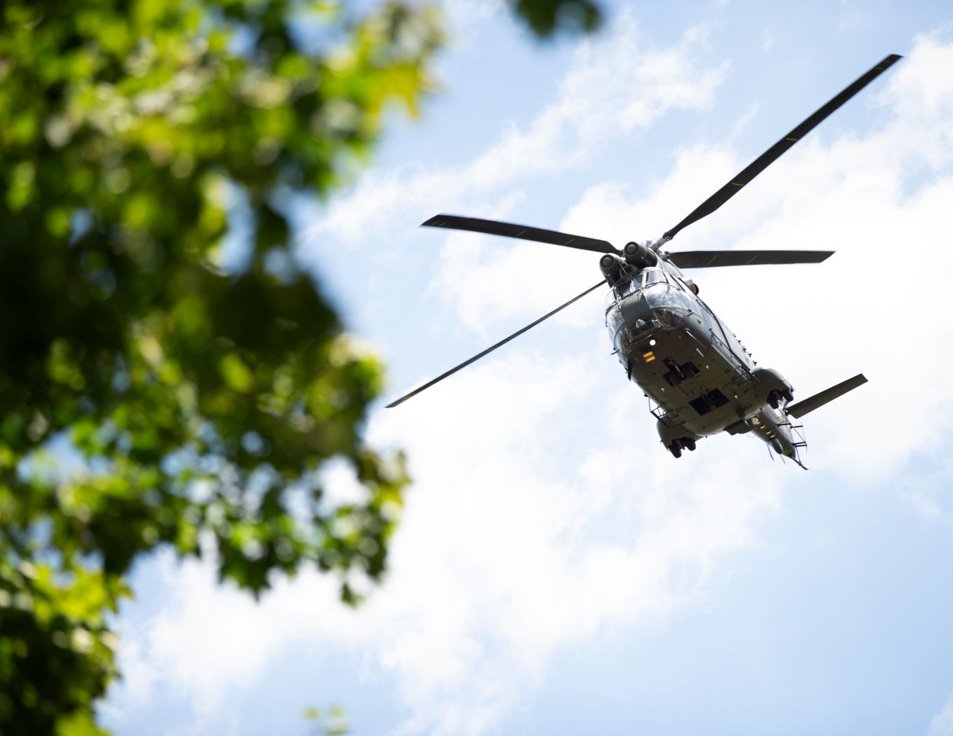 Puma Flypast