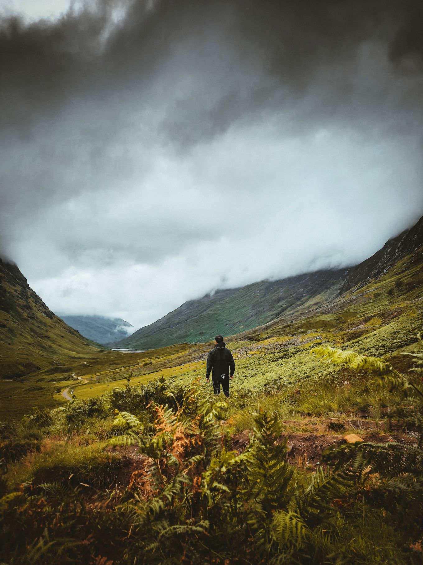 Frankie running a hill amid clouds and fog. 