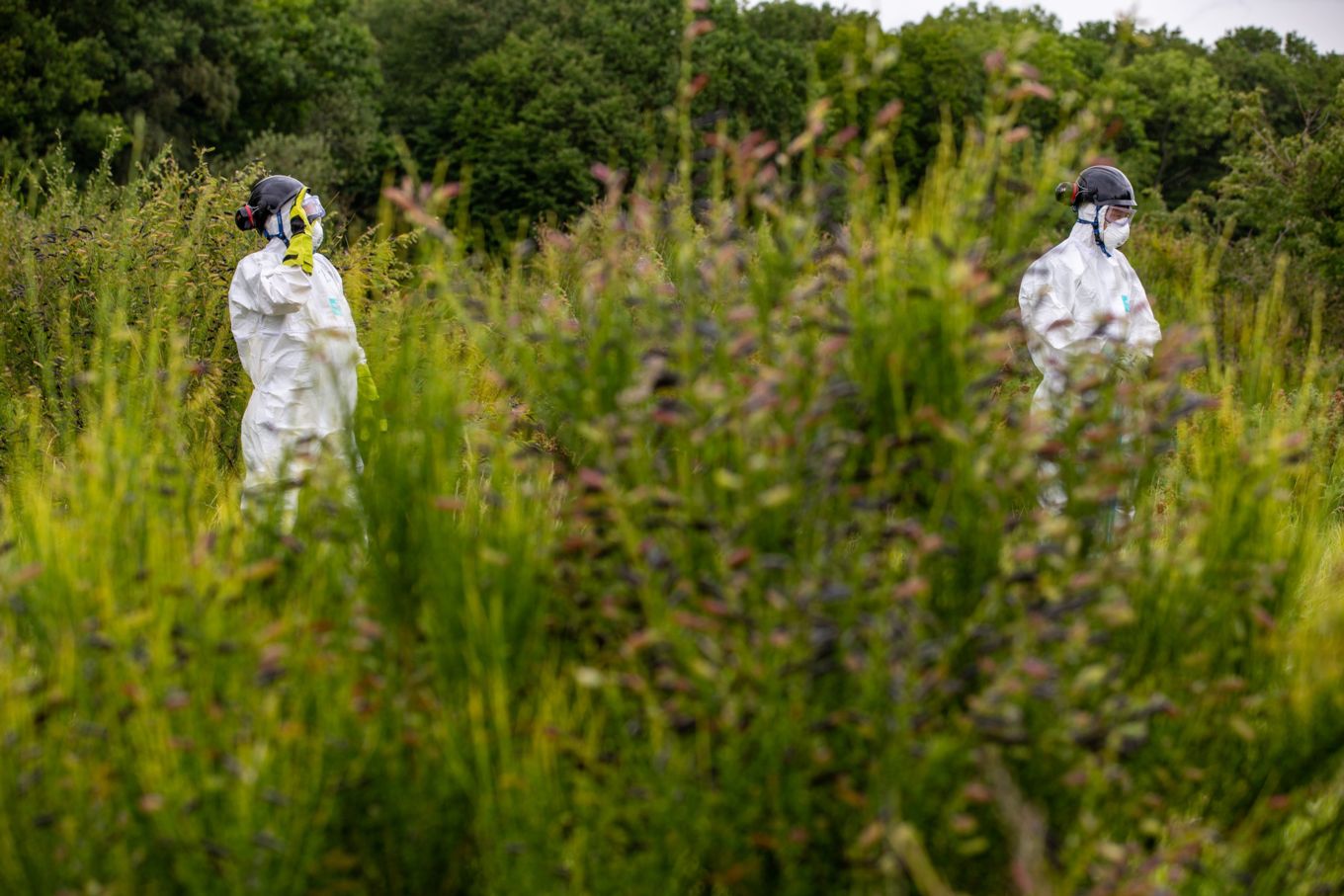 Members of the JARTS team conducting a detailed search