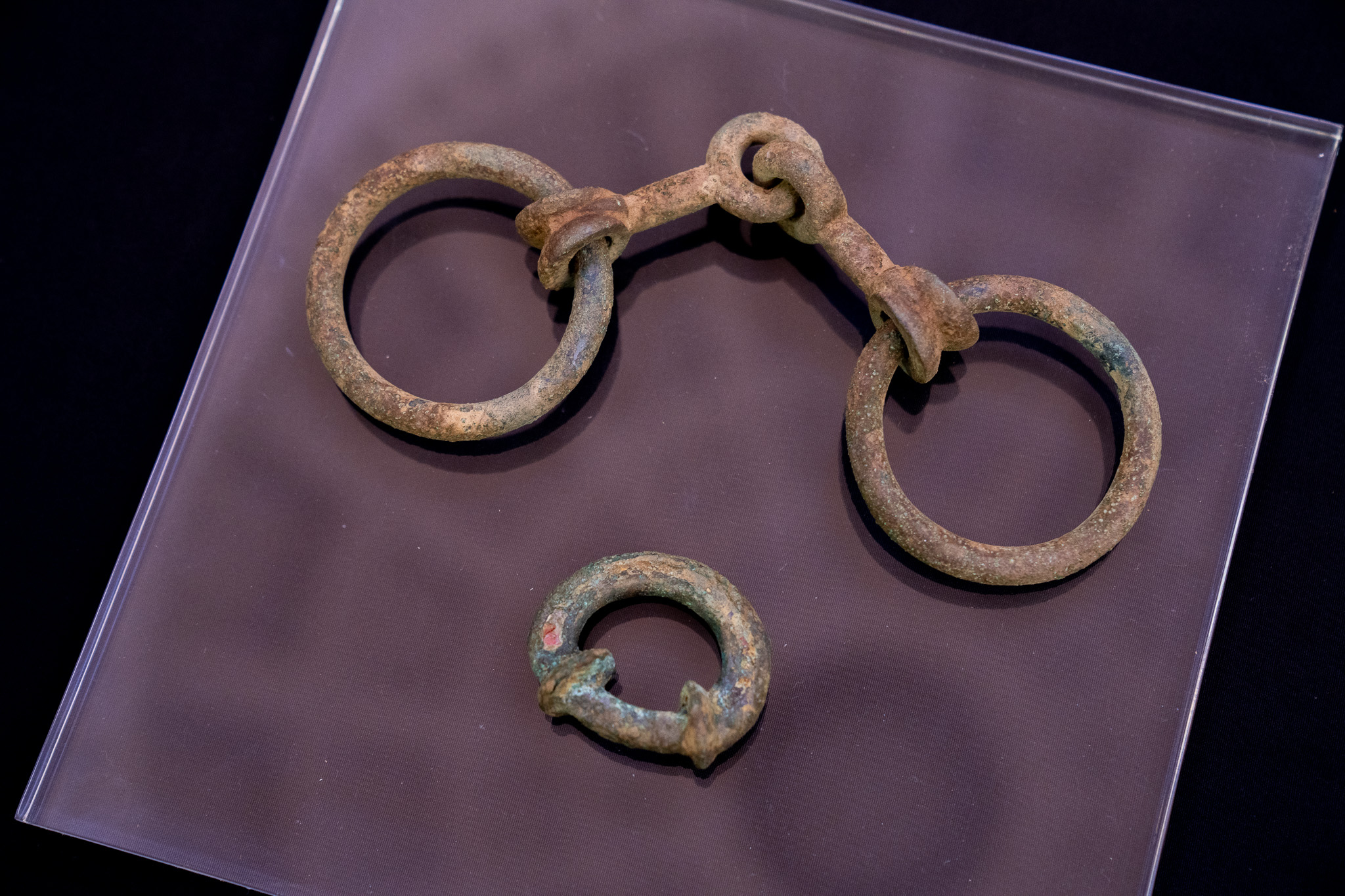 The bridle-bit and the terret ring laid out on a table.