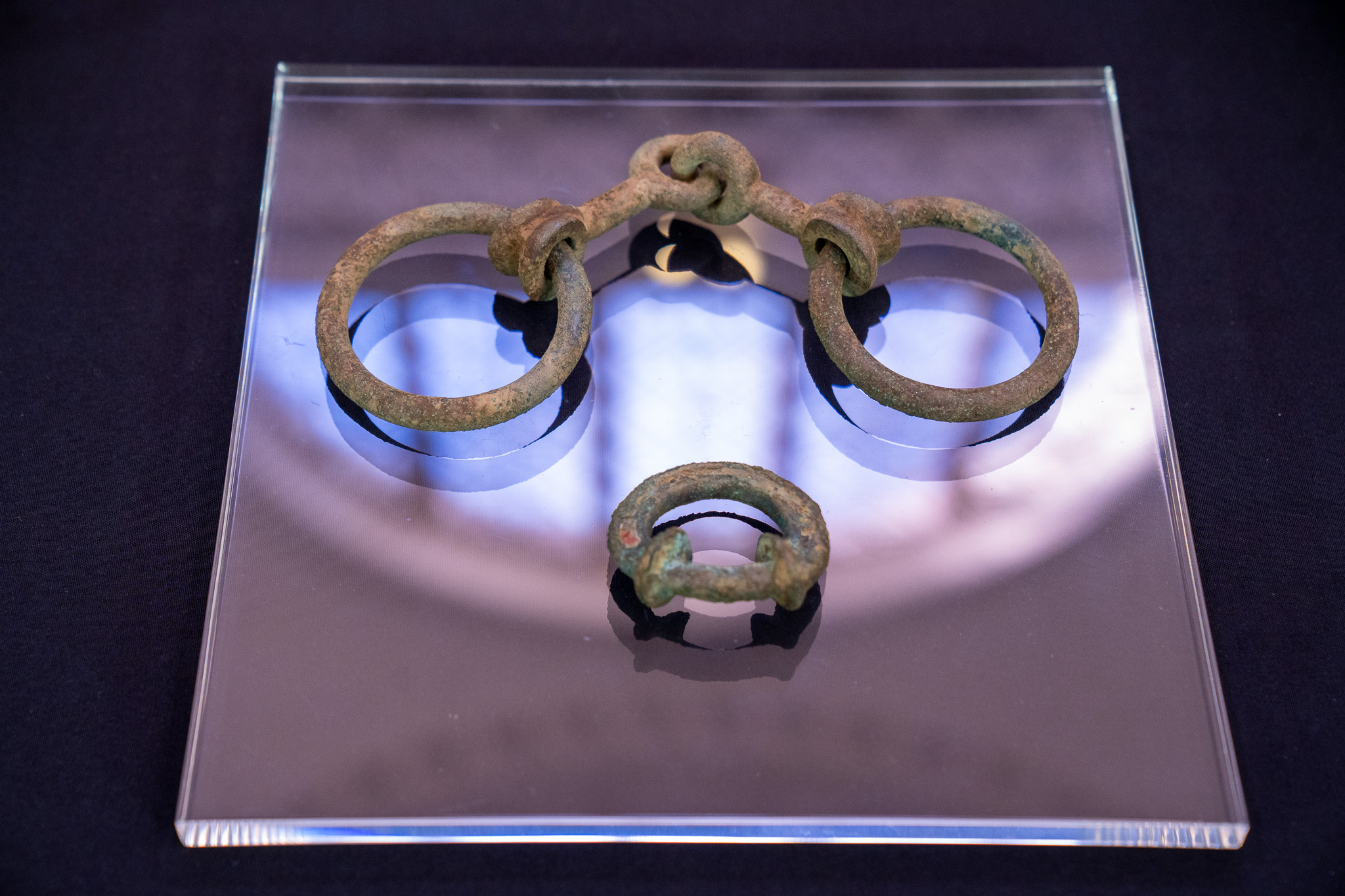 The bridle-bit and terret ring.