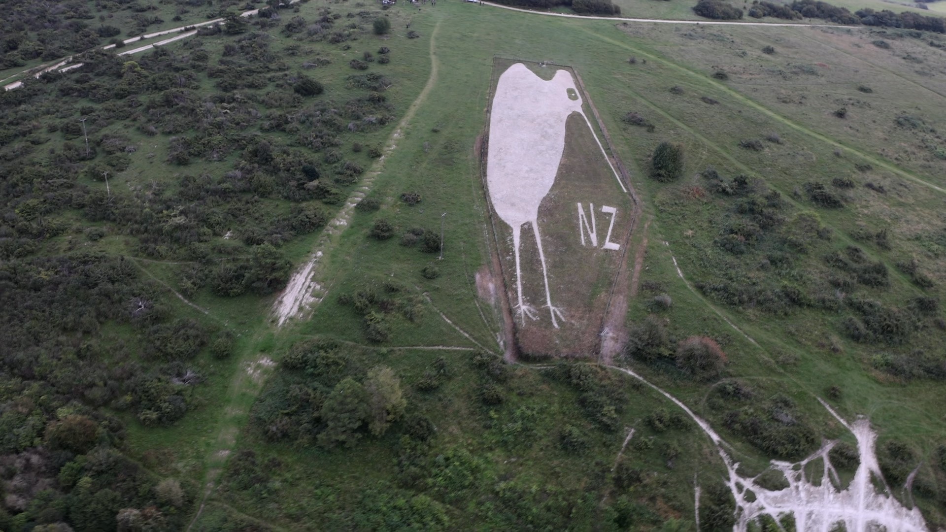 Aerial view of the hillside chalk kiwi