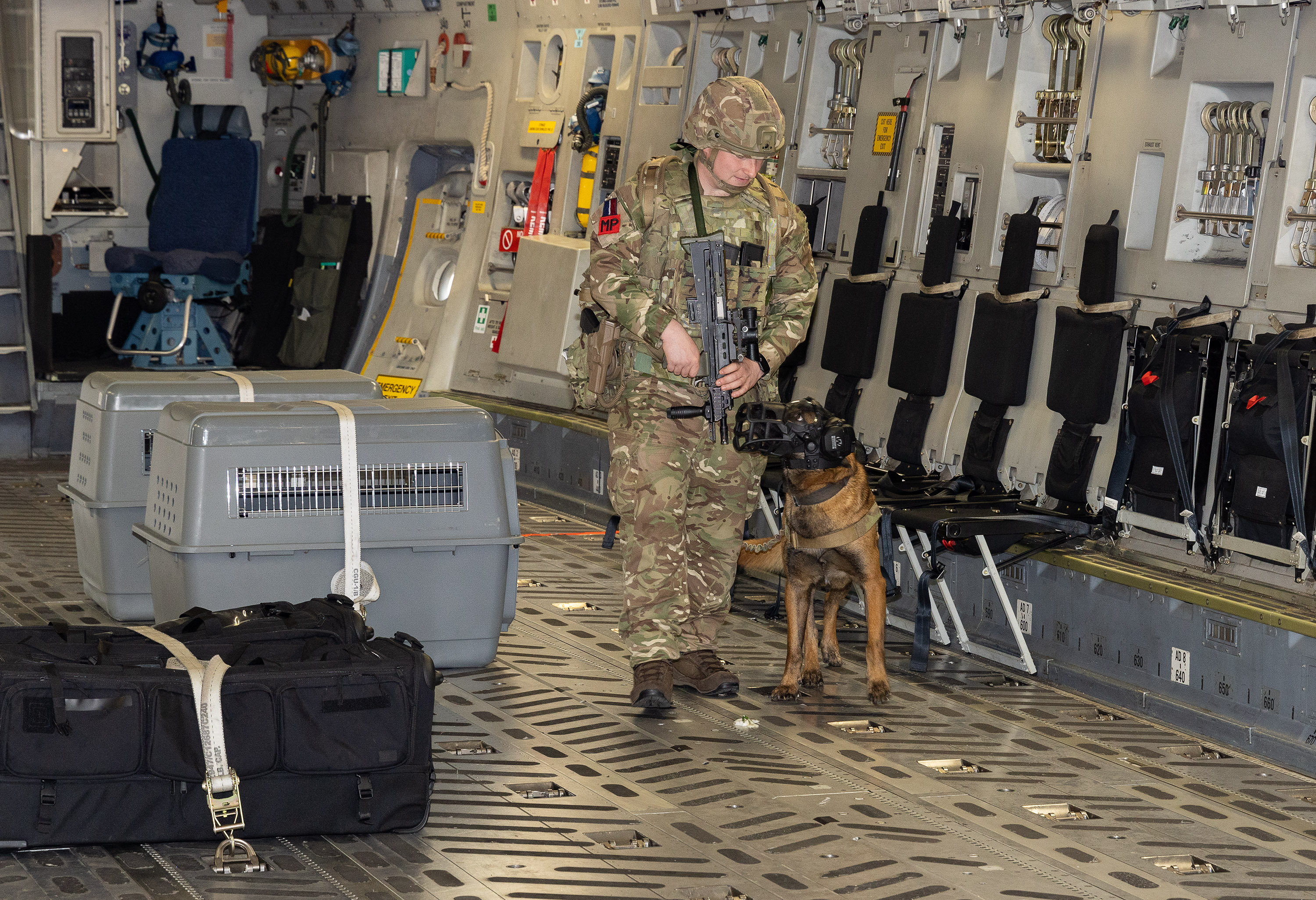 A member of the RAF in full gear alongside a Military Working Dog in protective gear, on board an RAF A400M.