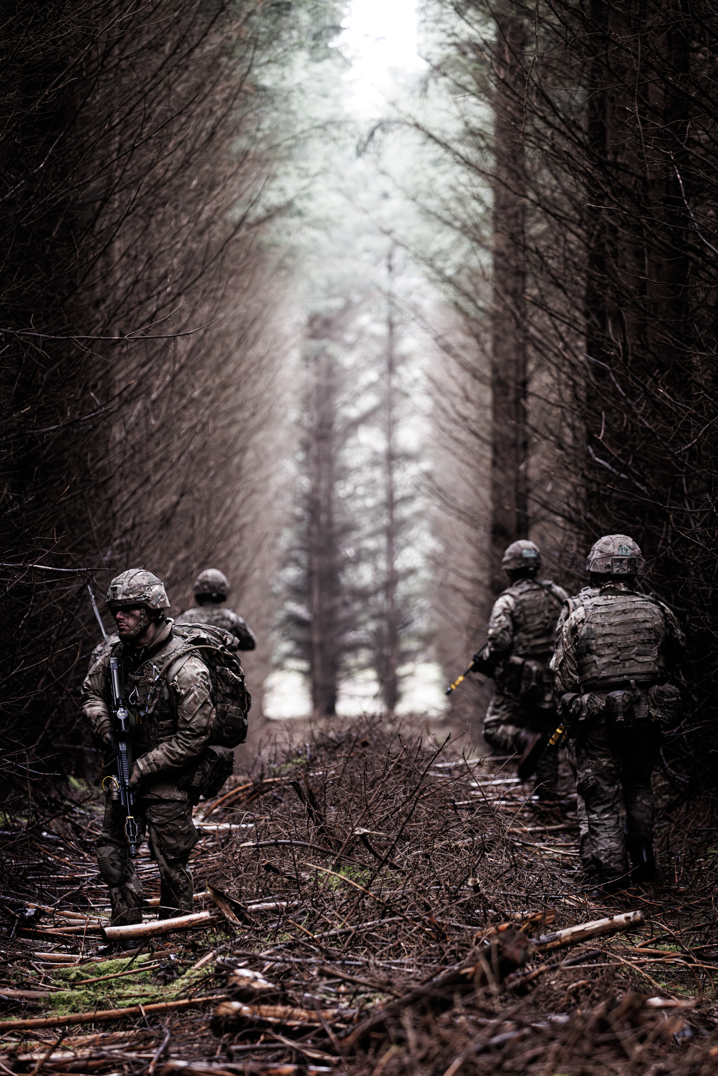 Personnel walk through sticks and trees.