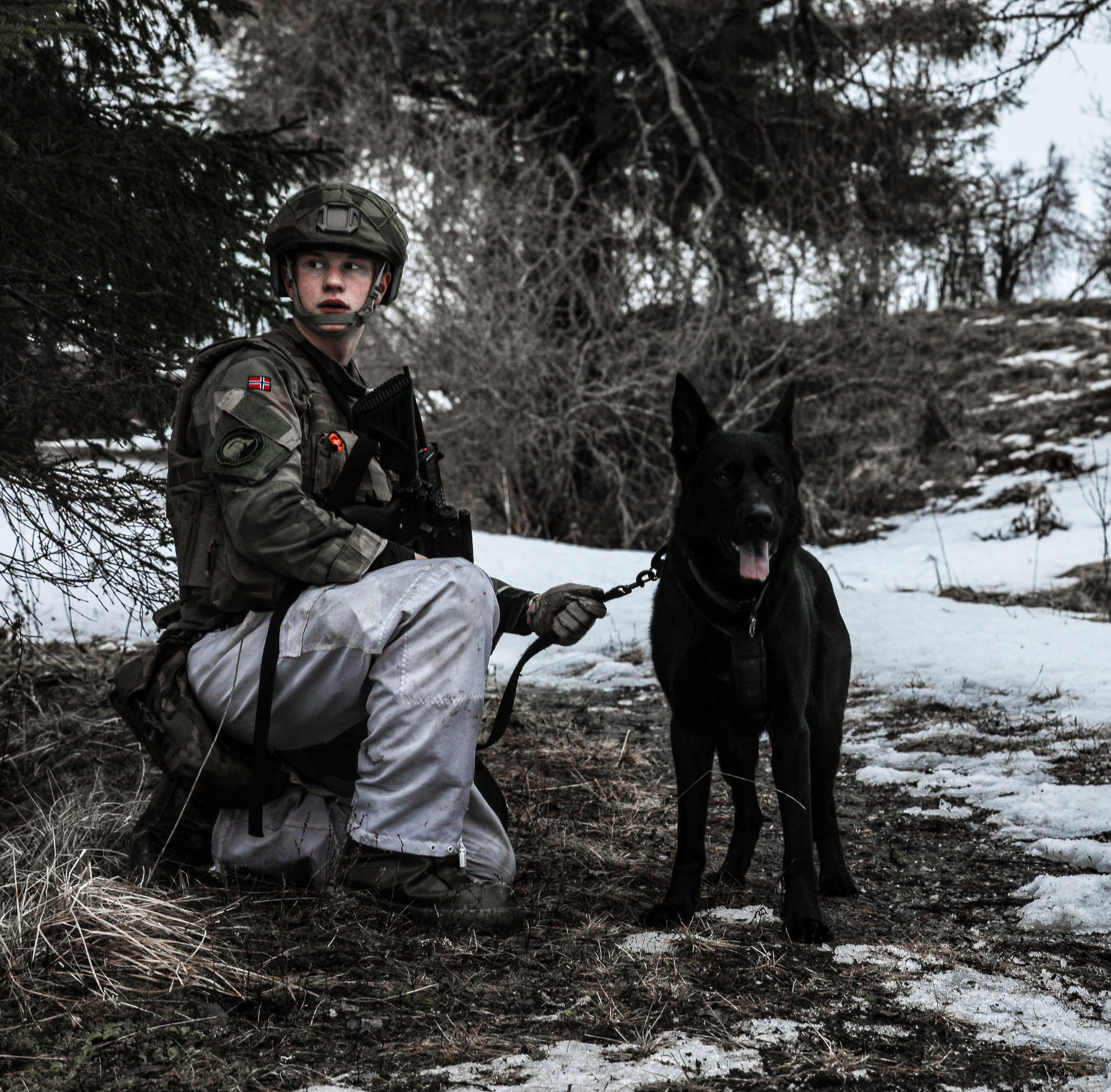 A member of the RAF Regiment knelt besides an RAF Police working dog in the snow.