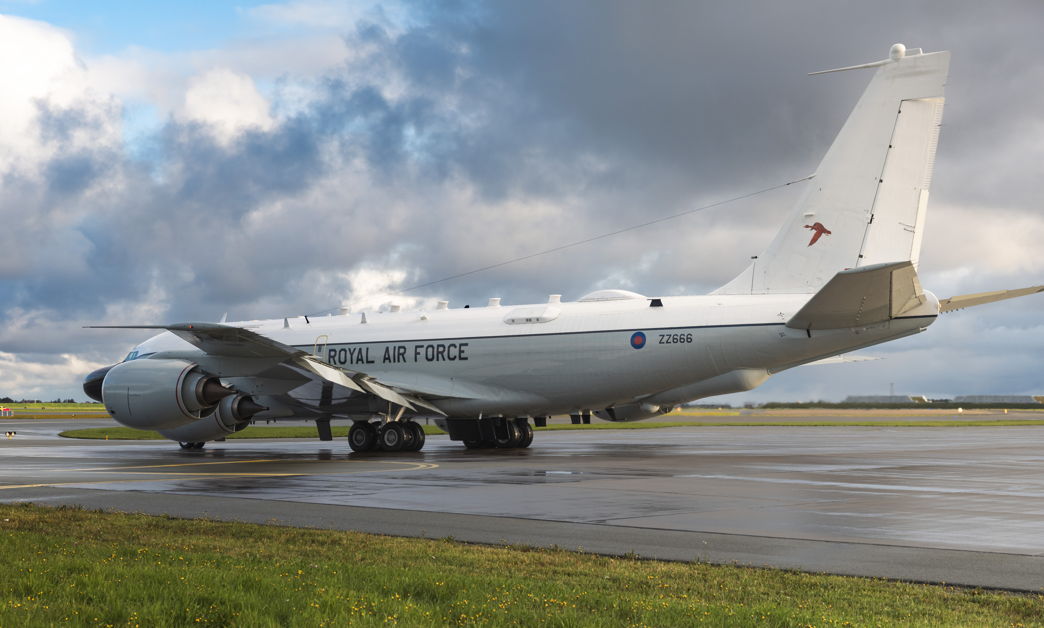 An RAF Rivet Joint aircraft on the runway in Orland.