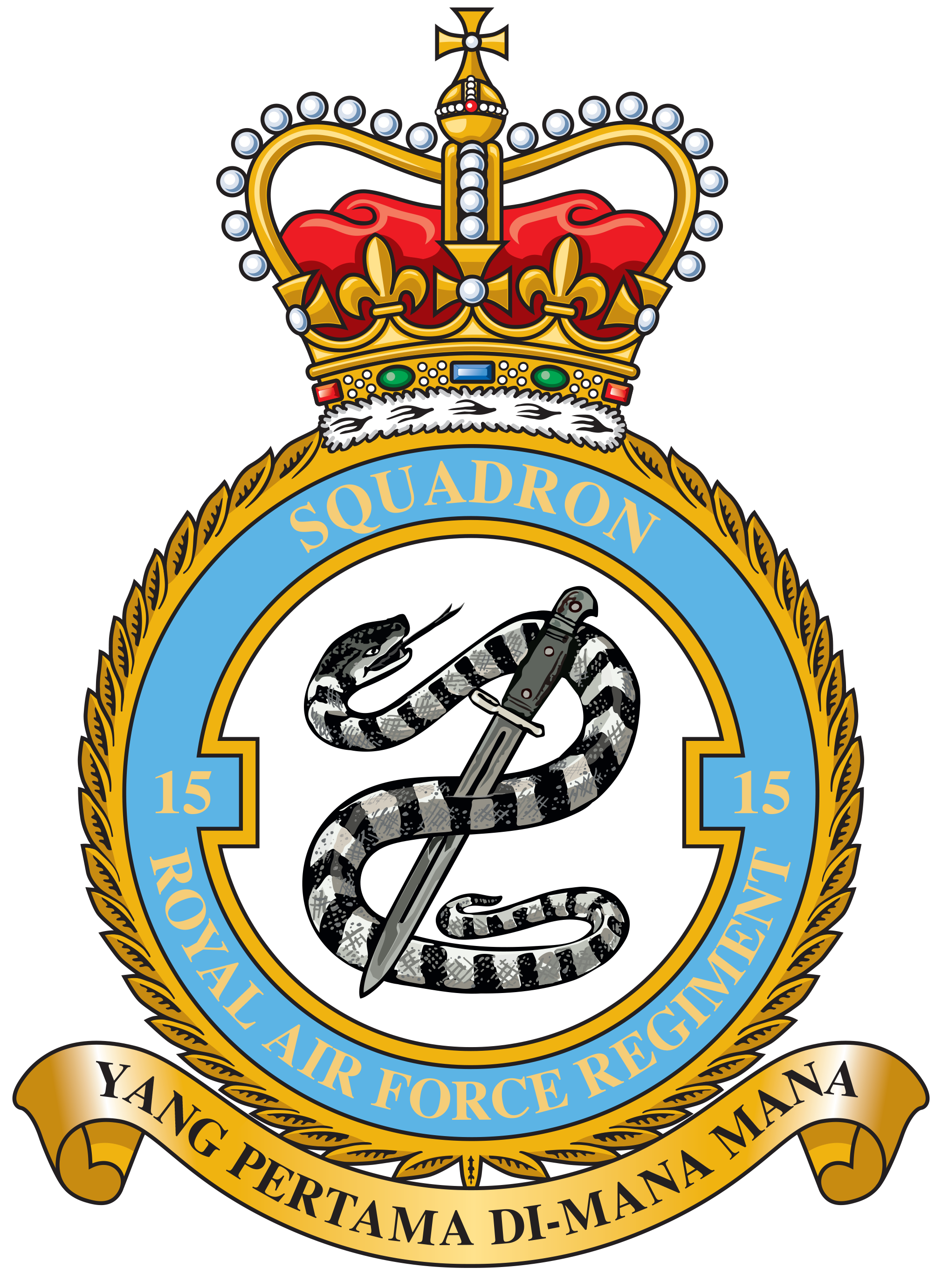 RAF 15 Squadron mug ref785. 