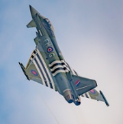 MOGGY 1